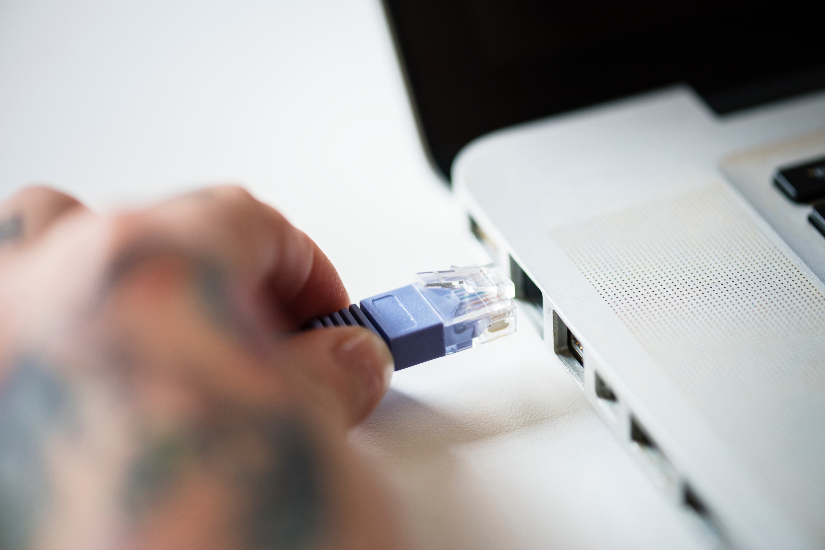 How to Import Data from a CSV File to Drupal 8: The Best Tools and ...