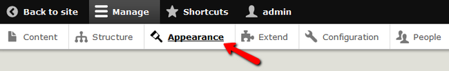 Enter the "Appearance" Tab in Your Admin Dashboard